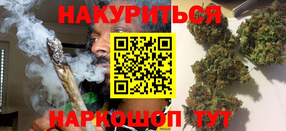 МАРИХУАНА сатива  Дербент  Каннабис марихуана 